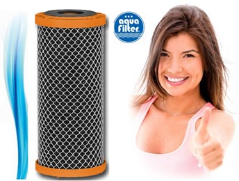 Blok węglowy BIG BLUE 10" FCCBL10BB-P Aquafilter